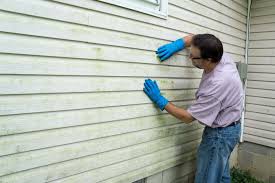 Affordable Siding Repair and Maintenance Services in Kissee Mills, MO